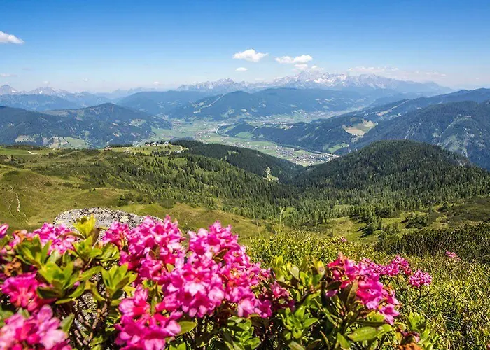 马特奥酒店 3* 弗拉绍